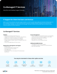 Co-Managed IT Services