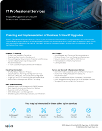 IT Professional Services